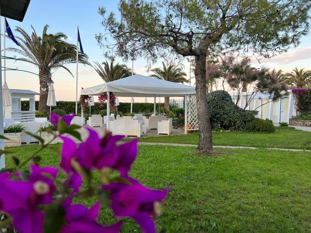 Hotel Parco Delle Rose Silvi Marina Ngoại thất bức ảnh