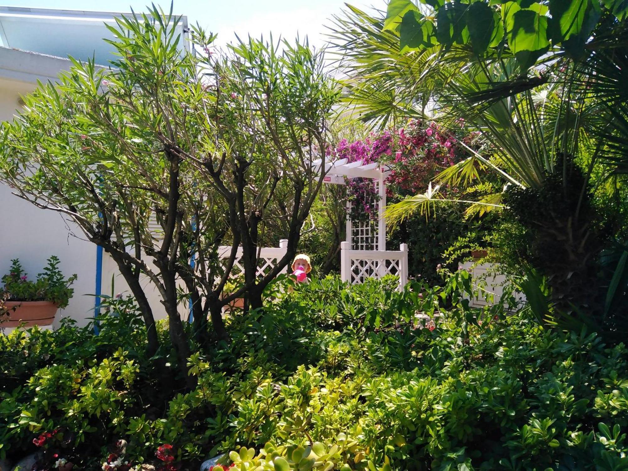 Hotel Parco Delle Rose Silvi Marina Ngoại thất bức ảnh